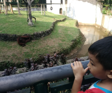 Azka Berwisata ke Kebun Binatang Ragunan 7