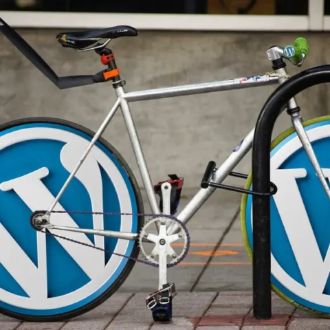 Cara Menampilkan Random Post di Wordpress 3 Cara Menampilkan Random Post di Wordpress 2